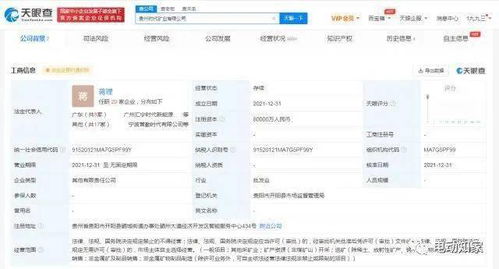 宁德时代成立矿业公司，新材料技术推广服务助力产业升级