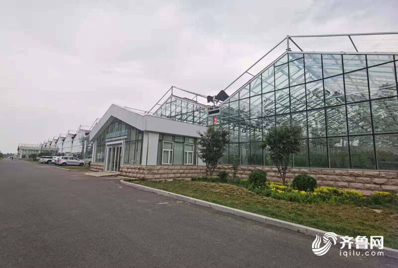 高端智库看山东 如何丰富“寿光模式”内涵？专家支招 结合新发展机遇，用数字经济赋能产业，推广新材料技术