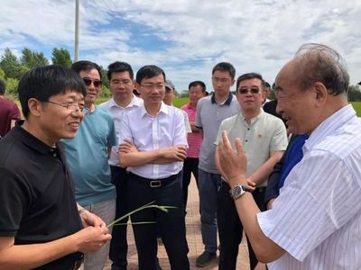 李寿生考察建三江 秸秆炭化还田破解农业难题，炭基肥产业蓄势待发
